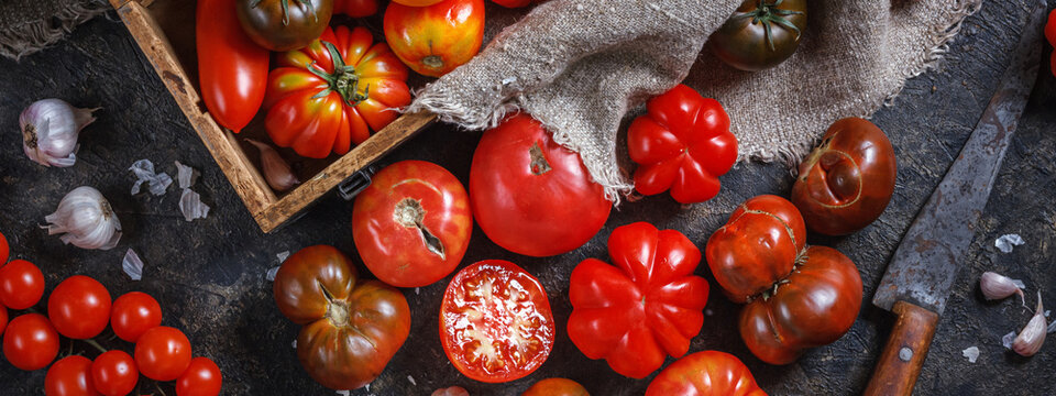 Many different breeds, shapes and sizes of tomatoes in an old wooden box and on a dark surface, flat lay, top view, banner. The concept of harvesting and processing vegetables