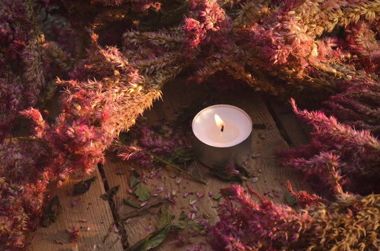 A Candle with Dead Celosia Flowers on a Rustic Wood Background | Romantic Dead Flowers | Candles with Flowers