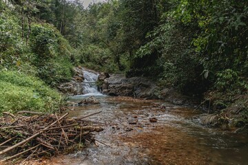 Nature river stream of tropical forrest in Asia.