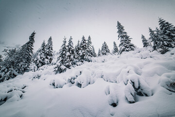 Snowy winter landscape. Snow covered trees in forest. Low Tatras National Park Slovakia. Christmas postcard.