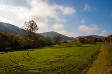 Panorama of a hilly landscape in autumn