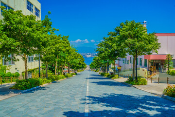 八幡坂（北海道函館市）