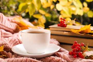 Cup of aromatic tea, books and viburnum on soft pink sweater. Autumn atmosphere