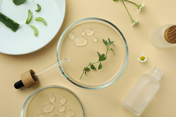Fototapeta na wymiar Flat lay composition with Petri dishes and plants on beige background