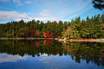 The beautiful landscapes of Muskoka, Ontario, Canada during Fall season, full of colorful autumn colors all over the place