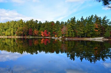 The beautiful landscapes of Muskoka, Ontario, Canada during Fall season, full of colorful autumn colors all over the place