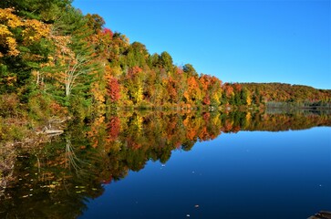 The beautiful landscapes of Muskoka, Ontario, Canada during Fall season, full of colorful autumn colors all over the place