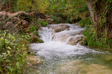 Fototapeta premium At the Ruidera lagoons, for nature lovers.