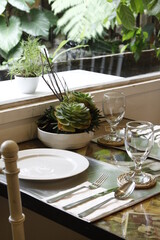Breakfast table setting with succulent plant and natural light
