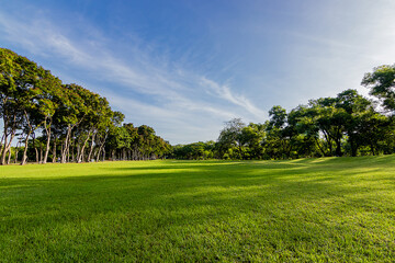 Green beautiful park and blue sky in morning.