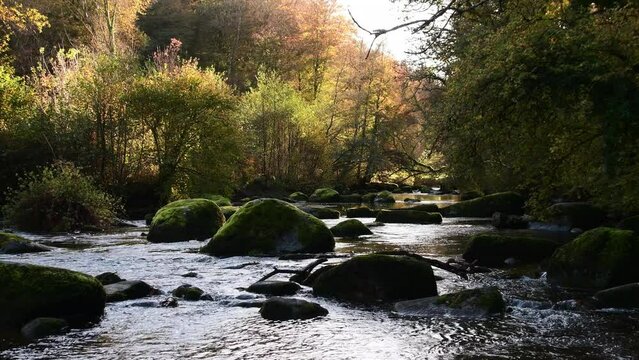 La rivi&egrave;re du L&eacute;guer &agrave; Tonqu&eacute;dec en Bretagne - 4K