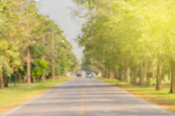 Abstract motion blurred highway in forest, Green nature concept.