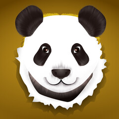 Panda bear animal cute face. Vector Asian panda bear head portrait. Realistic fur portrait of a bamboo funny black and white panda animal isolated on yellow background.