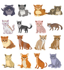 Set of cute cartoon kitties or cats with different colors and styles and markings standing, sitting, or walking vector illustration isolated on white background.