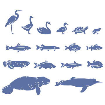Set of sea and ocean underwater animals. Cute aquatic turtles, whales, narwhals, dolphins, and colorful fishes. Childish-colored flat cartoon vector illustration isolated on white background