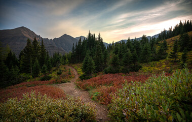 Ptarmigan Cirque hiking trail with stunning mountain vistas in Alberta.  - obrazy, fototapety, plakaty
