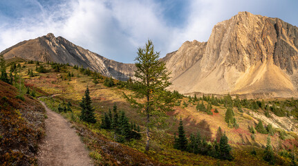 Naklejka premium Ptarmigan Cirque hiking trail with stunning mountain vistas in Alberta. 