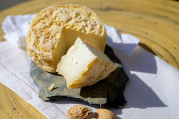 Fototapeta na wymiar Tasting of local portuguese matured cheese queijo serpa, Setubal area, Portugal