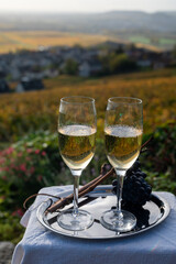 Tasting of premier cru sparkling white wine with bubbles champagne on outdoor terrace with view on colorful vineyards in Hautvillers in October, near Epernay, France