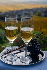 Tasting of premier cru sparkling white wine with bubbles champagne on outdoor terrace with view on...