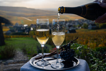 Fototapeta premium Tasting of premier cru sparkling white wine with bubbles champagne on outdoor terrace with view on colorful vineyards in Hautvillers in October, near Epernay, France