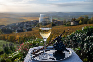 Tasting of premier cru sparkling white wine with bubbles champagne on outdoor terrace with view on...
