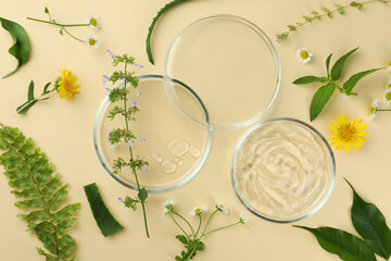 Flat lay composition with Petri dishes and plants on beige background