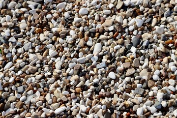 Small white and brown pebbles on Humber river bank as background texture