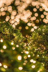 christmas tree lights