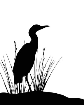 recommend clip art: Silhouette of a Heron, heron vector, Silhouette of a bird.