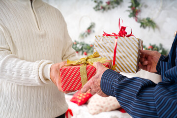 Gift Exchange in Front of Decorated Christmas Tree. Closeup of adult hands holding Christmas...
