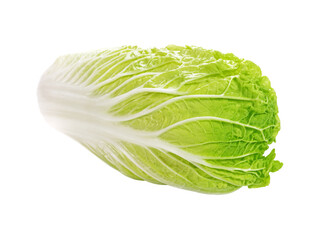 lettuce isolated on white background
