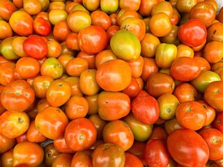 red and orange tomatoes background. Bunch of tomatoes