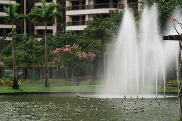 Park with buildings and a large green area in the midst of nature and the dance of water in the...