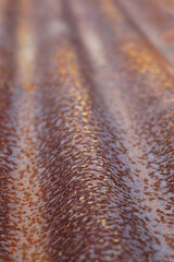 selective focus of rust on the surface of the zinc roof  