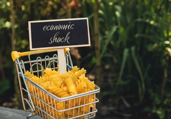 ECONOMIC SHOCK text on Blackboard label against Shopping trolley cart Filled With Pasta on...