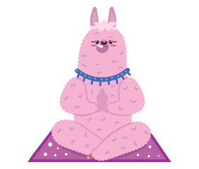 llama in meditation pose