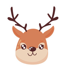 reindeer face animal