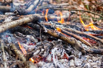 Branches on fire in a campfire close up