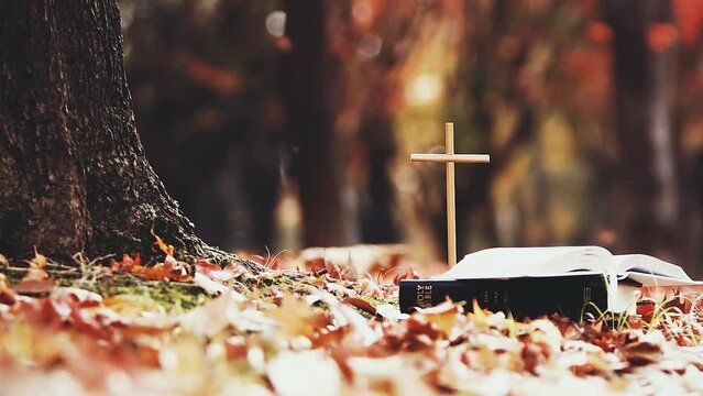 The cross of Jesus Christ and a bible on top of a pile of maple leaves in a beautiful autumn forest with falling leaves

