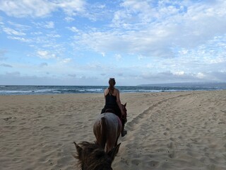 Rear view of a woman riding a horse at the beach