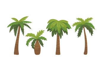Tropical Palm Trees Vector Illustration