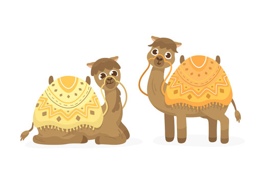 Cute Camels Vector Illustration