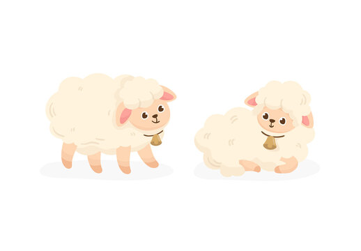 Cute Sheep Lamb Vector Illustration