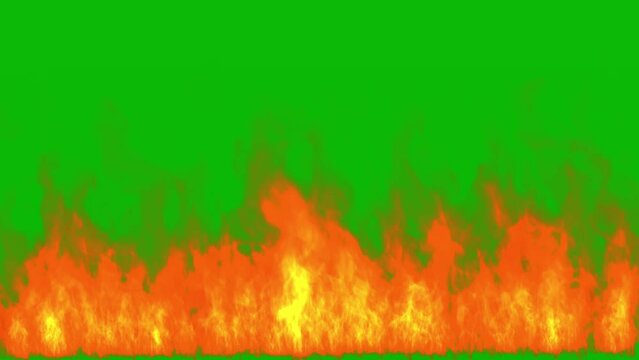 Fire motion graphics with green screen background