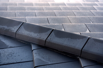 Close-up of black ceramic ridges and tiles on top of an apartment building roof under construction. With traces of the first frost