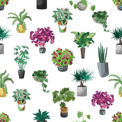 Houseplants in flowerpots cartoon illustrations set. Pattern with potted plants, cartoon drawings of flowers in pots isolated on white background. Nature, decoration concept