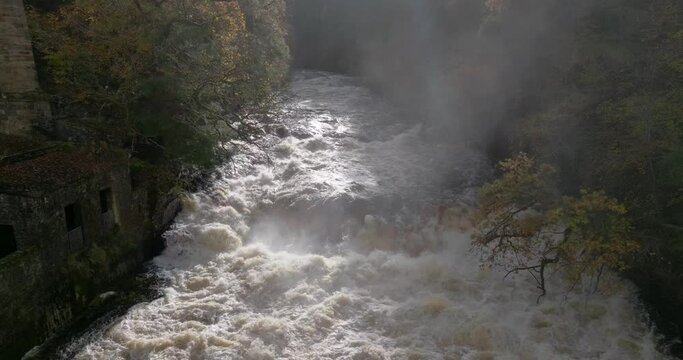 Slow motion drone footage descends close to a fast flowing river and waterfall surrounded by a forest of broadleaf trees in autumn. Falls of Clyde, New Lanark, Scotland.