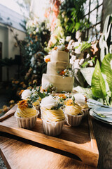 Gourmet cupcakes with white buttercream frosting and sprinkles on wooden background