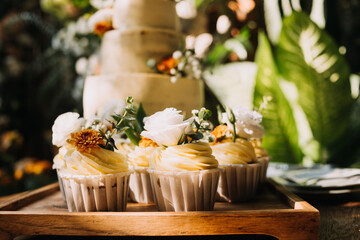 Gourmet cupcakes with white buttercream frosting and sprinkles on wooden background